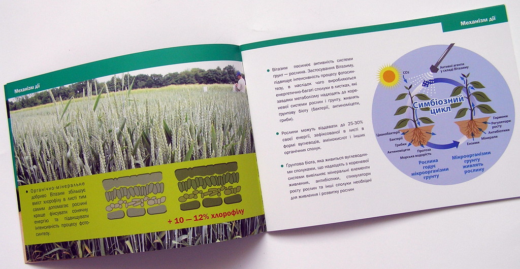 Виготовлення брошур «VitaZyme». Поліграфія друкарні Макрос, виготовлення брошур, специфікація 962977-4