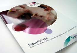 Друк брошур «Порциліс PCV». Поліграфія друкарні Макрос